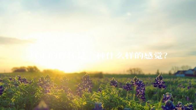 真正的释怀是一种什么样的感觉？