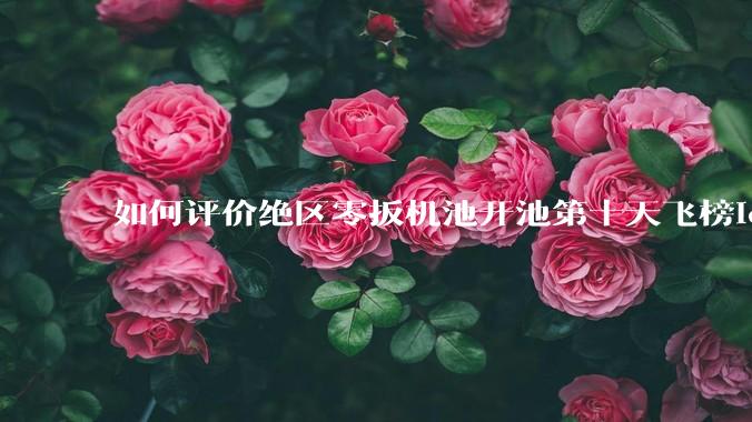 如何评价绝区零扳机池开池第十天飞榜ios畅销榜总榜？