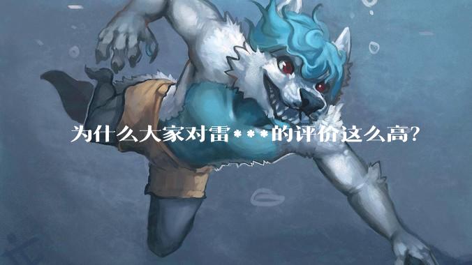 为什么大家对雷***的评价这么高？