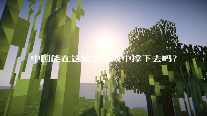 中国能在这轮贸易战中撑下去吗？