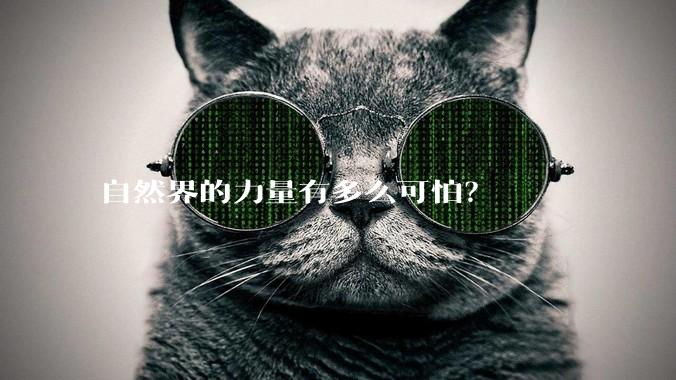 自然界的力量有多么可怕？