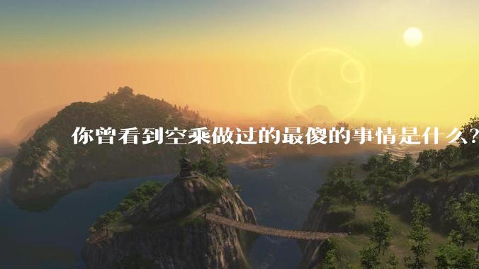 你曾看到空乘做过的最傻的事情是什么？