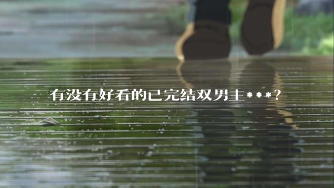 有没有好看的已完结双男主***？